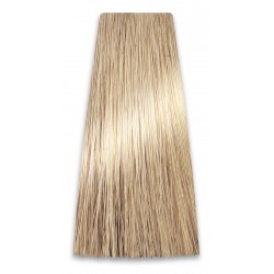 PROSALON PROFESSIONAL Intensis Color Art Profesjonalna Farba do włosów nr 10.0 bardzo jasny blond 100g