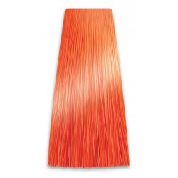 CHANTAL Intensis Color Art Farba do włosów 10/44 100 g