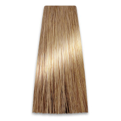 PROSALON PROFESSIONAL Intensis Color Art Profesjonalna Farba do włosów nr 9.0 jasny blond 100g
