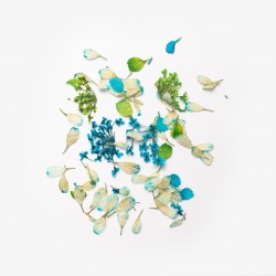 SEMILAC Flower Flakes Spring Meadow