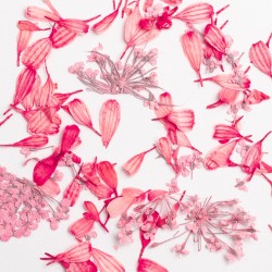 SEMILAC Flower Flakes Coral Blossom