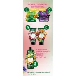 HERBAPOL ZESTAW Kremy d/rąk 12szt+Pomadki 12szt