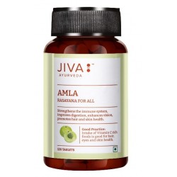 JIVA AYURVEDA Amla Suplement diety wspomagający trawienie i odporność Tabletki 120 szt.