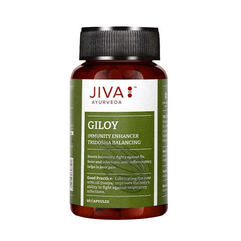 JIVA Giloy Układ oddechowy 60 kps (termin 09.2026)